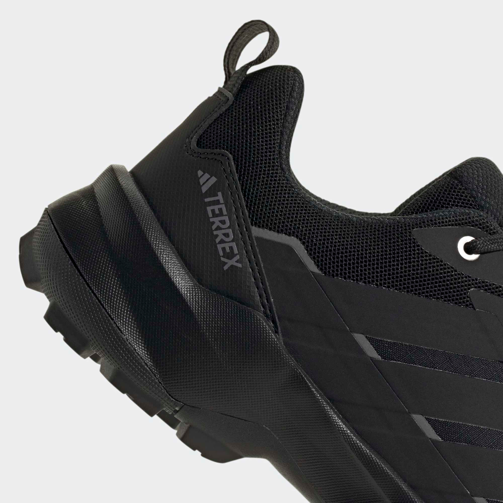 Кроссовки мужские ADIDAS TERREX SKYCHASER AX5 GTX