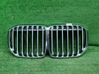 Решетка радиатора BMW X7 G07 (2019-2022)