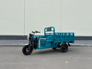 Грузовой электрический трицикл IKINGI CARGO PRO Q05 2000W (60V/45Ah) - Бирюзовый фото №2
