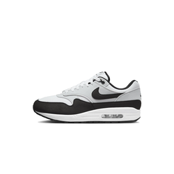 Nike Air Max 1 White Black