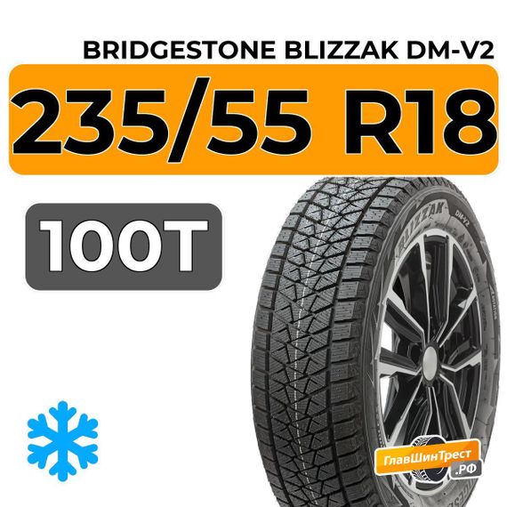 Bridgestone Blizzak DM-V2 235/55 R18 100T
