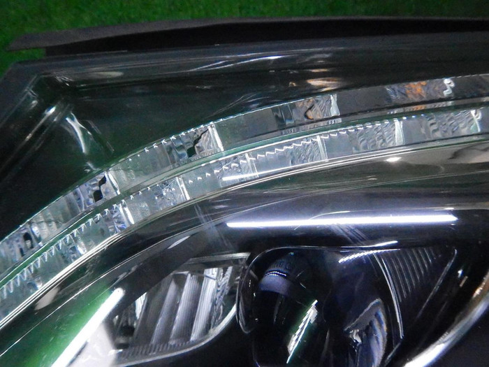 DSCN5646.JPG