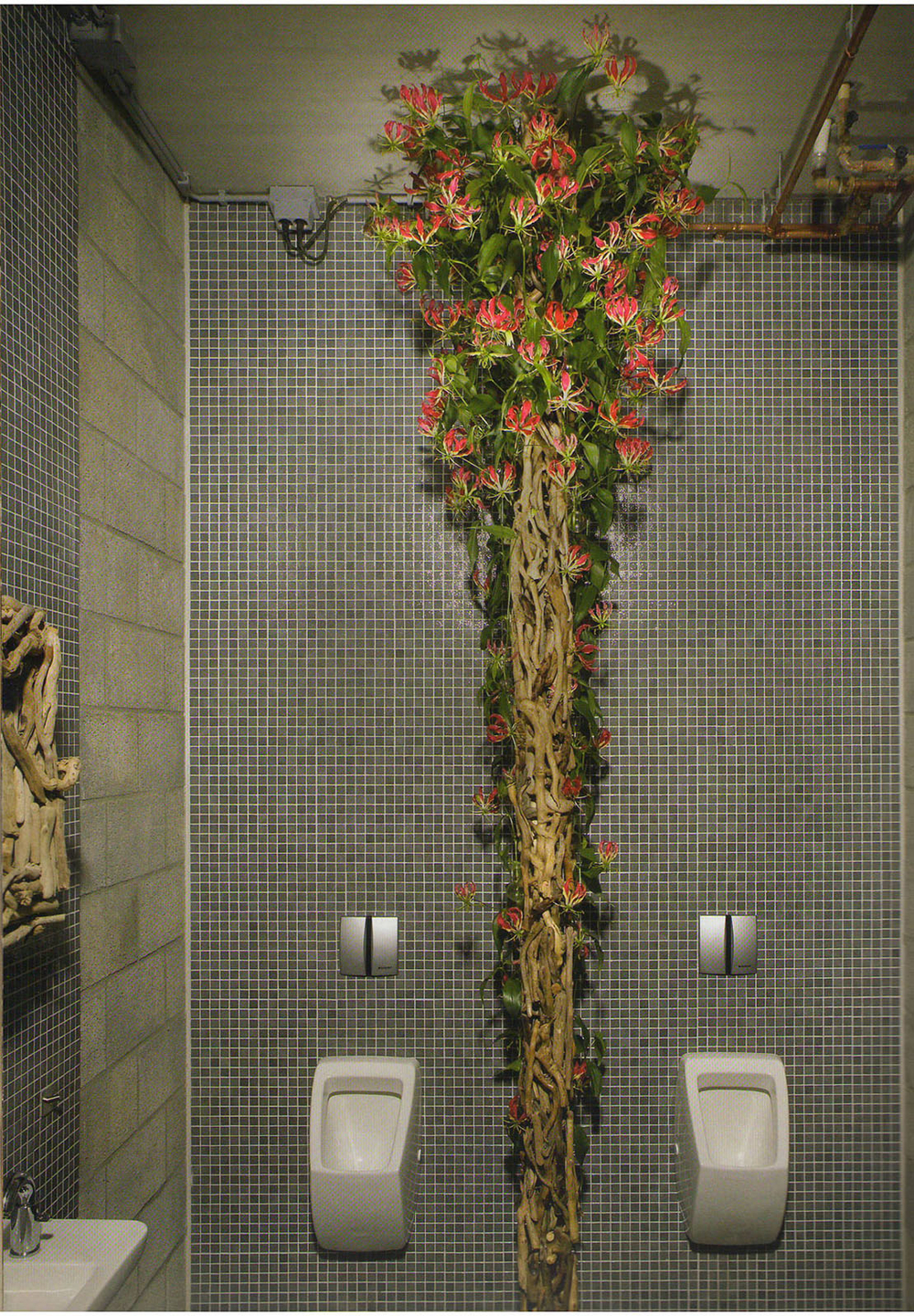 Natural Interior Design