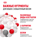 Royal Canin Light Weight Care Лайт вейт кэа Корм влажный для взрослых кошек для контроля набора веса желе 85г