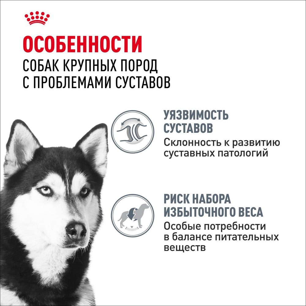 Royal Canin Maxi Joint Care Макси Джойнт кэа Корм сухой для взрослых собак крупных размеров с повышенной чувствительностью суставов 10кг