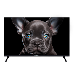 Телевизор Topdevice 32" Smart SBER (TDTV32CS08H_BK)