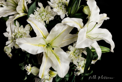 Букет из натурального шелка "Green Bells"