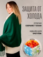 Шарф осенний кашемировый палантин теплый
