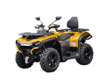 Квадроцикл HiSUN GUARDIAN 750L с ПСМ