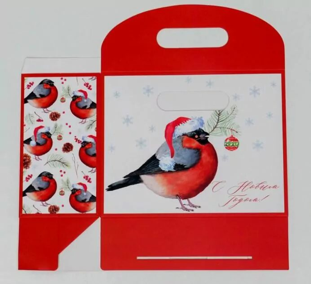Пакет с клапаном «Снегирь», 23 х 18 х10 см.