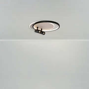 Потолочная люстра с пультом ДУ 75W 3000-7000K FR6083CL-L106WB черный/белый Spotlights Freya