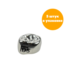 Первый нижний левый моляр, размер 5 (D-LL-5)