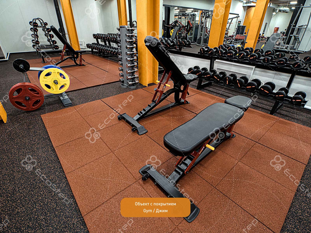 EcoStep® Gym/Джим