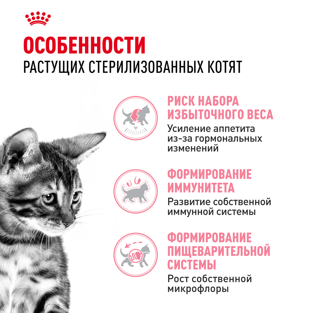 Royal Canin Kitten Sterilised Киттен Стерилайзд Корм сухой для стерилизованных котят с момента операции до 12 месяцев 2кг