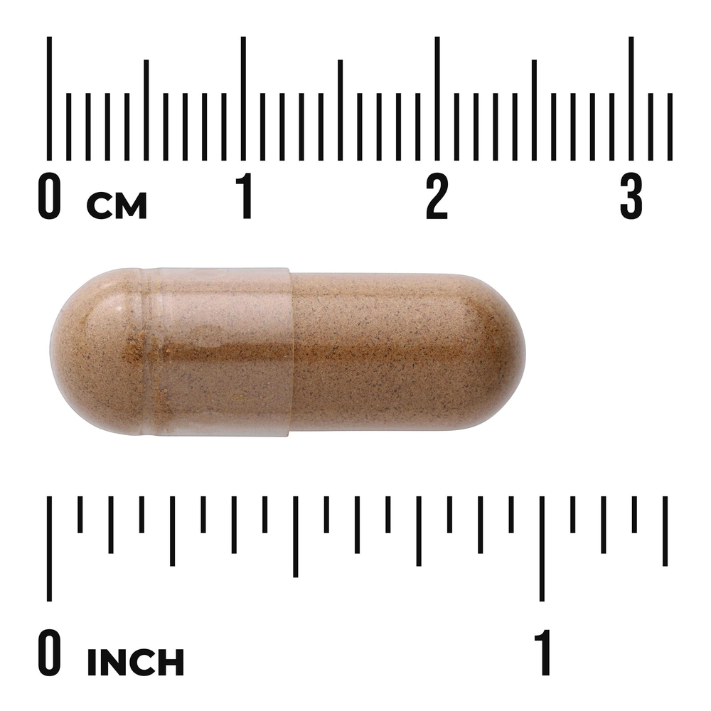 Swanson Vitamins, Full Spectrum®, гриб ежовик гребенчатый, 500 мг, 60 веганских капсул