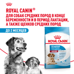 Royal Canin Medium Starter Mother&Babydog Медиум Стартер энд бебидог Корм для щенков средних пород до 2 месяцев беременных и кормящих собак 12кг