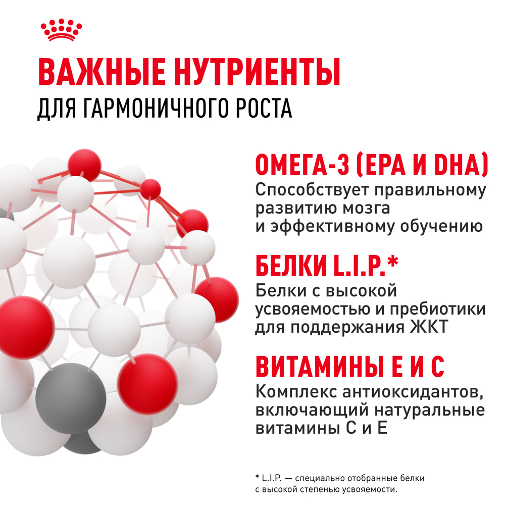 Royal Canin Maxi Puppy Макси Паппи Корм сухой для щенков крупных размеров в возрасте до 15 месяцев 15кг