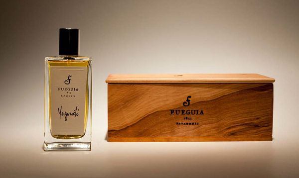 Fueguia 1833 Yaguarete