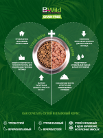 Сухой корм Monge Dog BWild GRAIN FREE для взрослых собак, беззерновой, из лосося 12 кг
