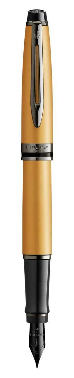Перьевая ручка WatermanExpert GoldF BLK в подарочной упаковке