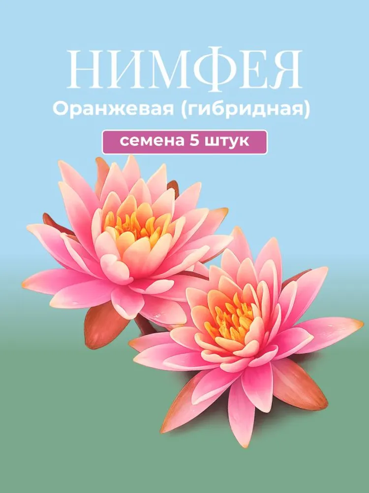Нимфея оранжевая (гибридная) семена 5 штук