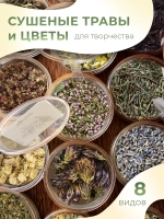 Сухоцветы и травы для свечей и эпоксидной смолы