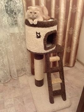 Дом для котят Н-6