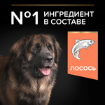 Сухой корм PRO PLAN SENSITIVE SKIN для взрослых собак крупных пород с мощным телосложением с чувствительной кожей лосось 14 кг