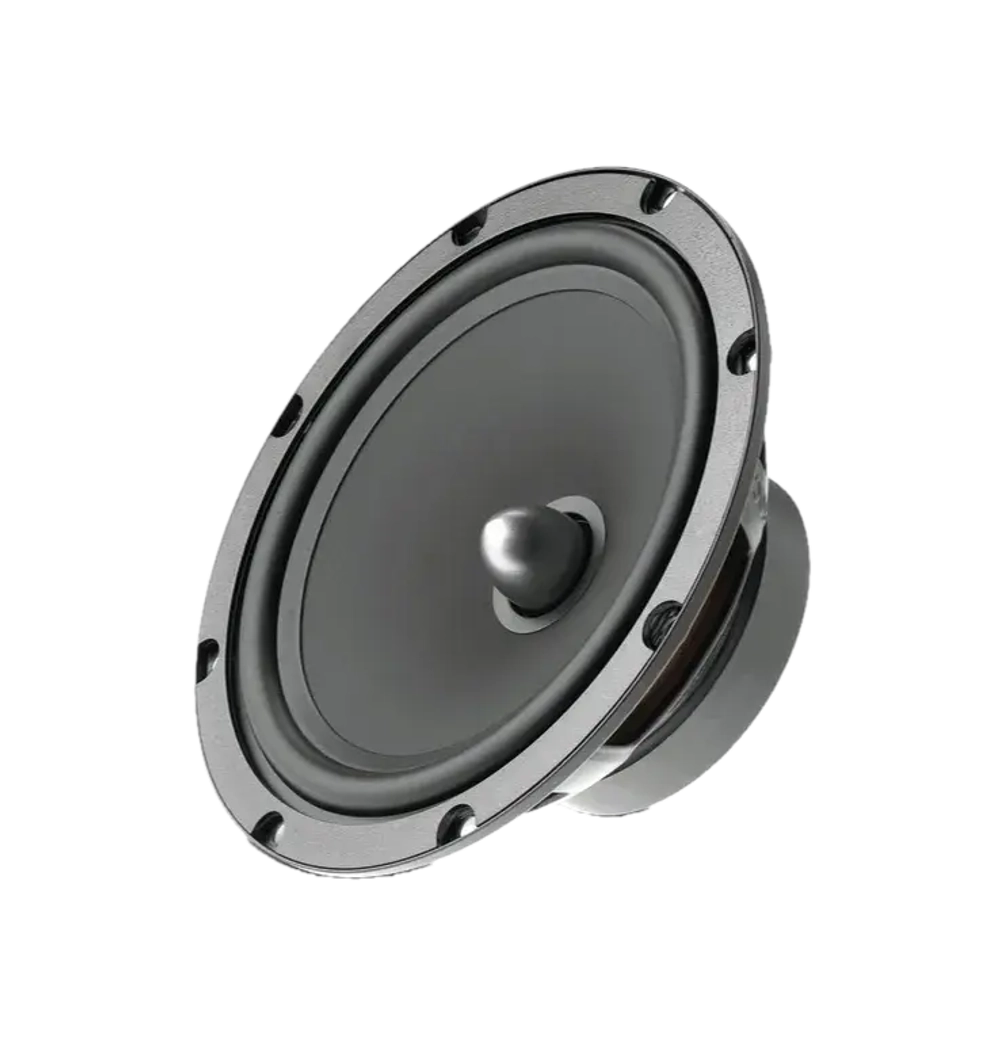 Динамики Focal Auditor RSE 165