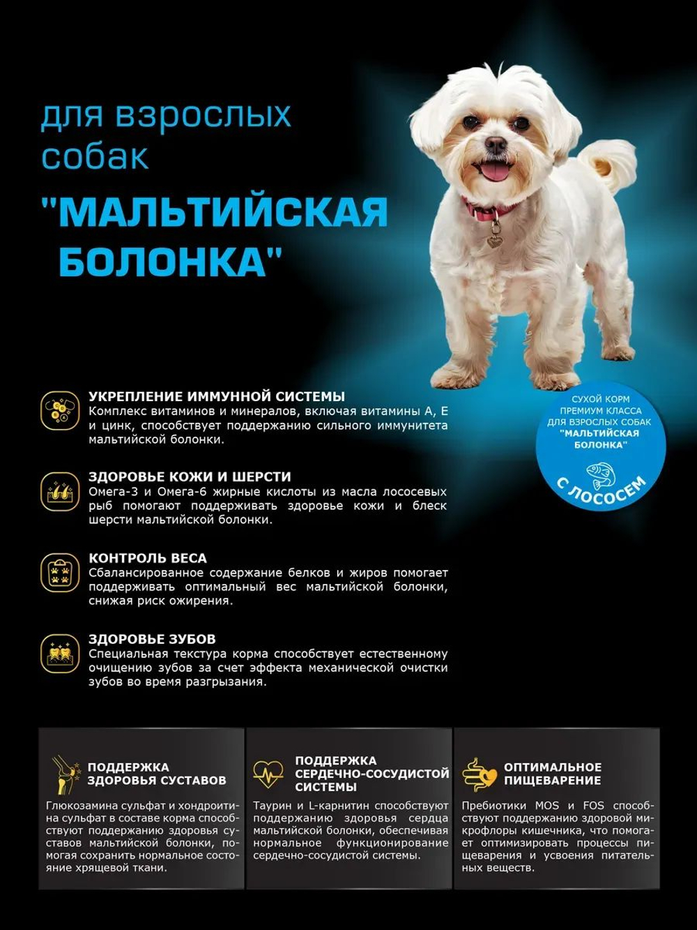 Корм сухой для взрослых собак породы Мальтийская болонка, с лососем, 12 кг, QUATTRO