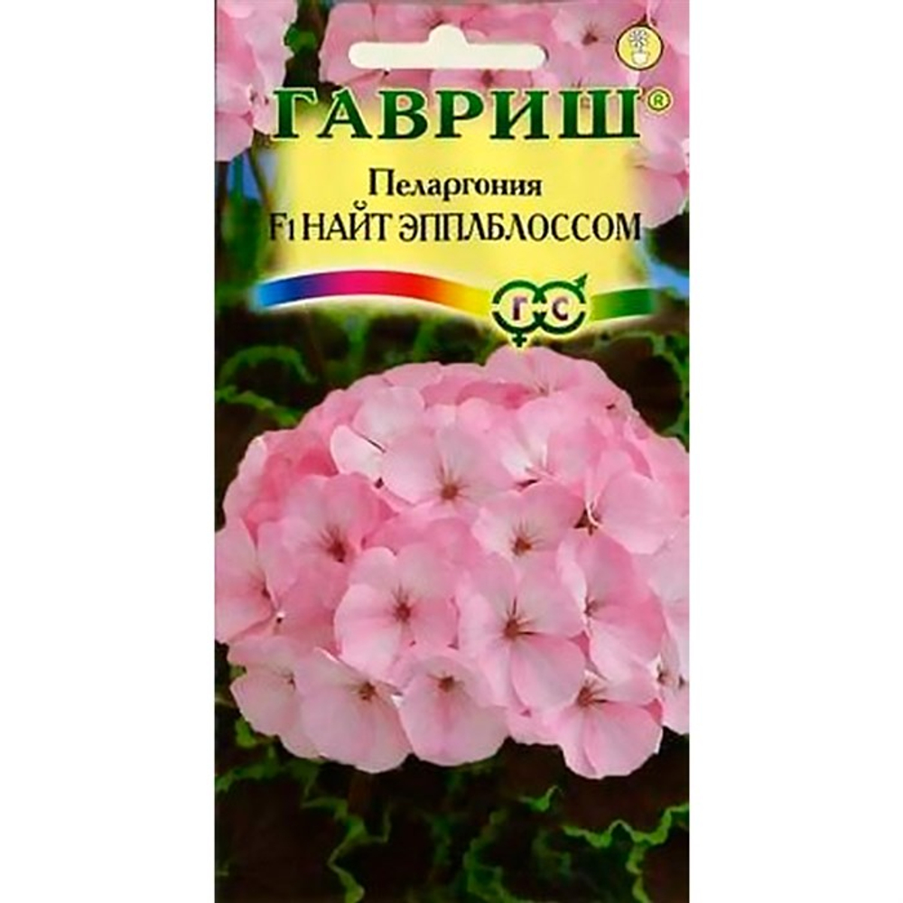 Пеларгония Найт Эплблоссом F1 зональная 4 шт  *10 ГШ 105.95 3382