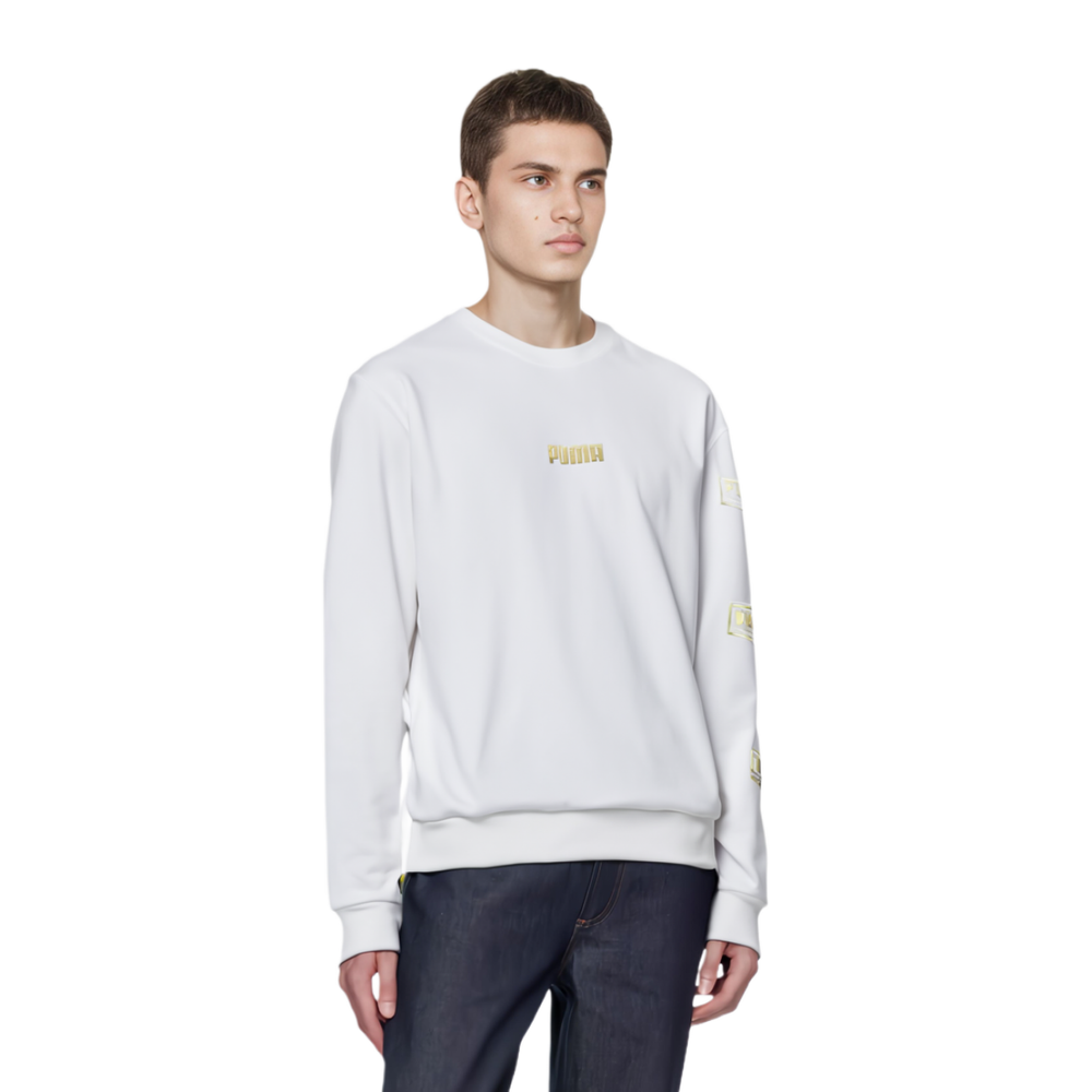 Толстовка Puma Holiday logo, 586348-02