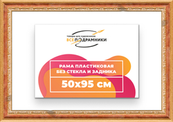 Рама 50x95 для картин и фотографий