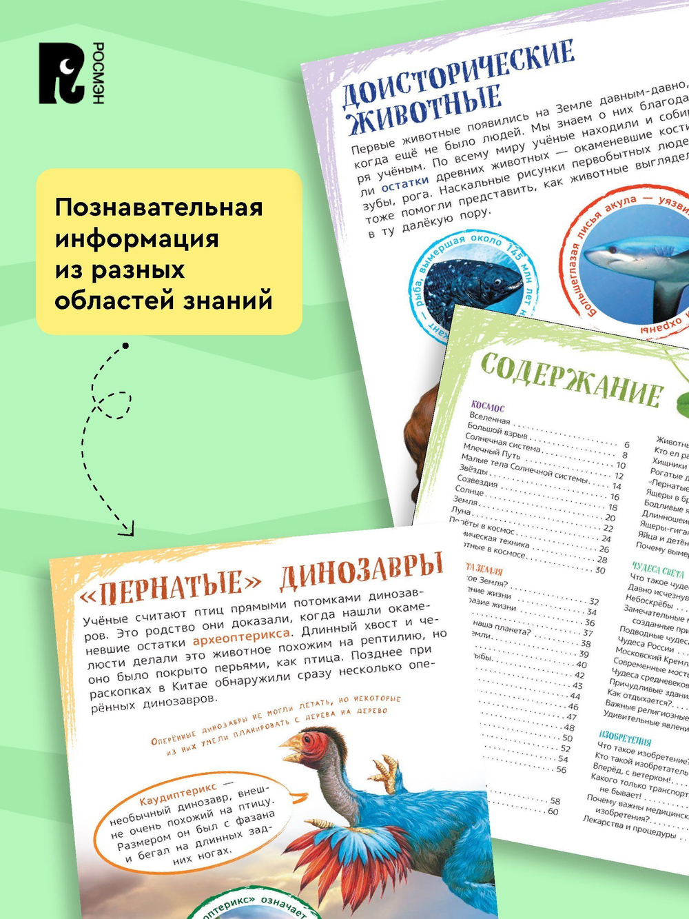 Главная энциклопедия дошкольника