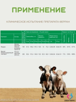 Ферран, железо-витаминный комплекс для животных, 100 мл