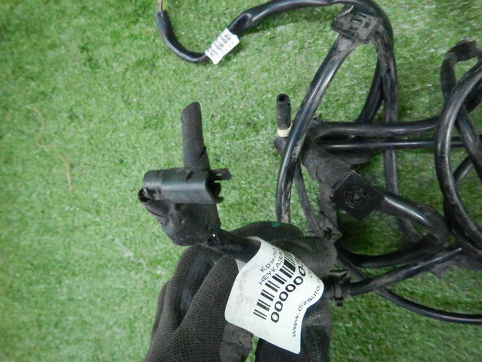DSCN3344.JPG