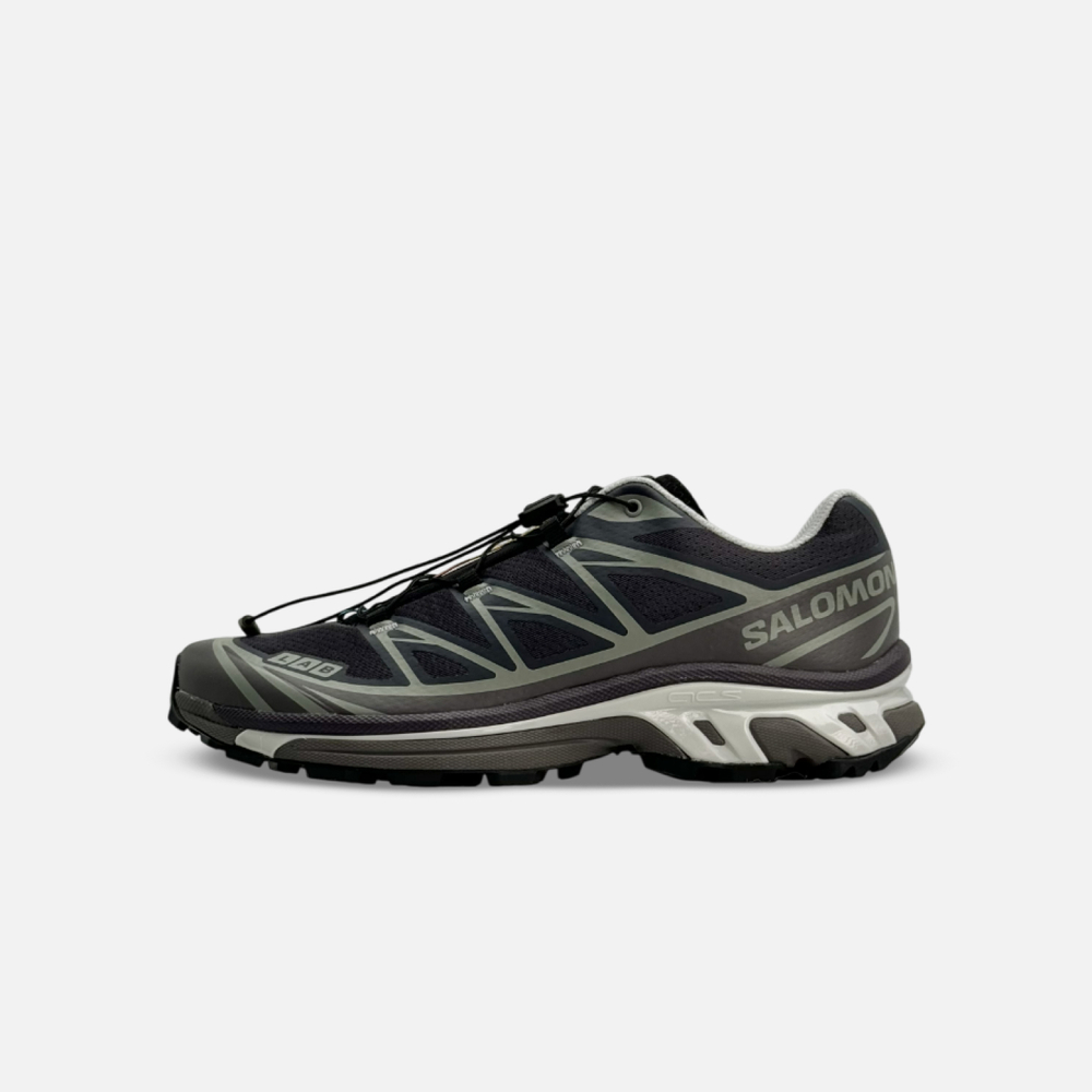 Кроссовки Salomon Xt-6 Old Phantom/Hushed Violet/Nirvana