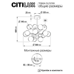 Citilux TONGA CL212193 Люстра на штанге Бронза