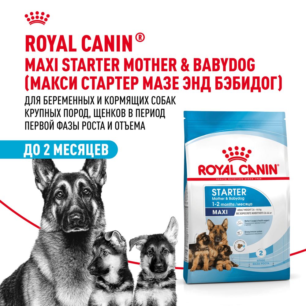 Сухой корм Royal Canin Maxi Starter для щенков крупных пород до 2-х месяцев, беременных и кормящих сук