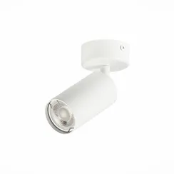 Спот Dario ST303.502.01 ST Luce