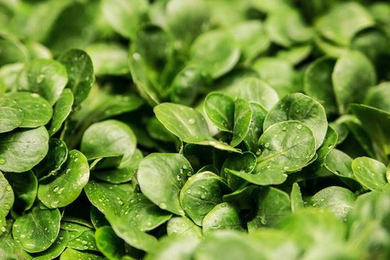 Хочу продезинфицировать купленные продукты, чтобы не заразиться коронавирусом. Это правильно? А как?