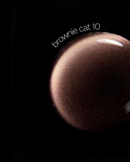Brownie cat color gel 10g 10 Iperfect
