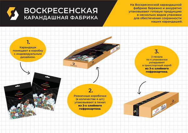 Набор цветных карандашей заточенный 4х48 цв, Vista-Artista INTENSE VICP-48