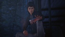 Life is Strange 2: полное издание