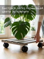 Подставка для цветов, 30х30х7, Флорэль, круглая на колесиках, этажерка, напольное, на подоконник, полка, из массива дерева, серый