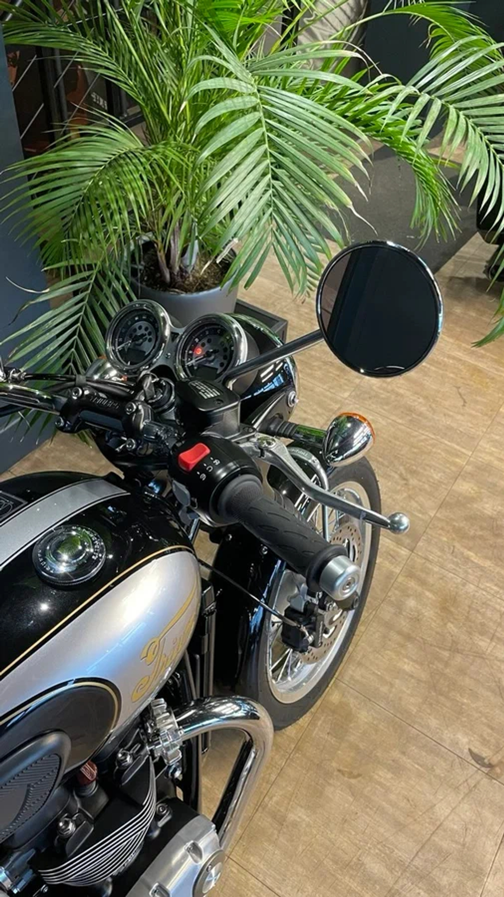 Triumph Bonneville T120 Icon Edition, 2025