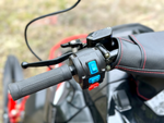 Снегоход IKUDZO HUNTER 500LK 19 V2