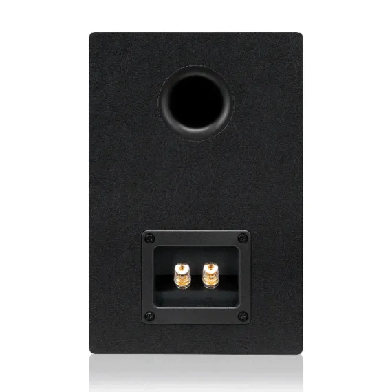 Emotiva Airmotiv B2+