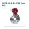 РС25-18-В-Ф1-IP68 (вкл. БП)