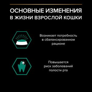 Пауч Pro Plan Maintenance для взрослых кошек, с говядиной в соусе